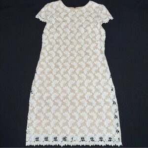Suzi Chin for Maggy Boutique Women's Cream Lace cocktail Dress size 8